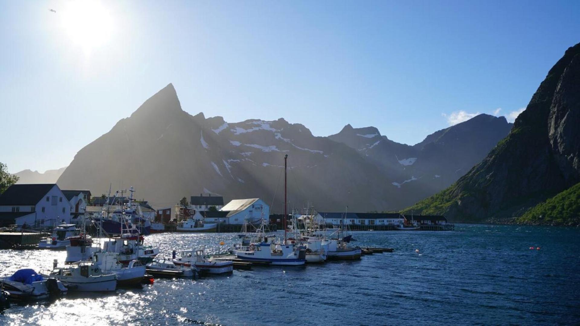 Lofoten Panoramic Luxury Home With Sauna Moskenes Ngoại thất bức ảnh